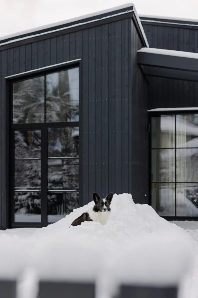 THORN Properties Exterior